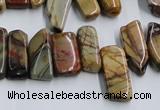 CPJ375 15.5 inches 8*14mm - 10*30mm picasso jasper chips beads