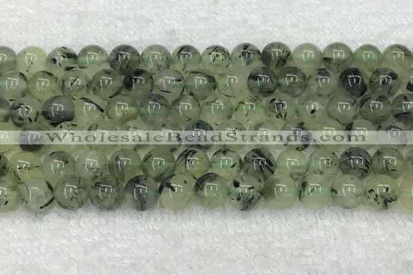 CPR392 15.5 inches 10mm round prehnite beads wholesale