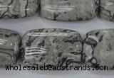 CPT182 15.5 inches 20*30mm rectangle grey picture jasper beads