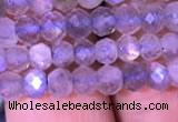 CRB1981 15.5 inches 3*5mm faceted rondelle labradorite beads