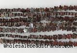 CRG30 15.5 inches 6mm flat star poppy jasper beads wholesale