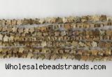 CRG33 15.5 inches 6mm flat star picture jasper beads wholesale