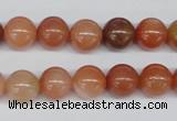 CRJ202 15.5 inches 10mm round natural red jade gemstone beads