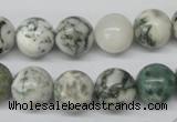 CRO300 15.5 inches 12mm round tree agate beads wholesale