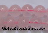 CRQ253 15.5 inches 10mm round rose quartz beads Wholesale