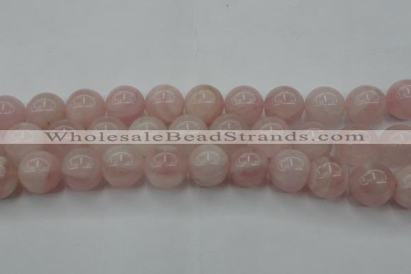 CRQ675 15.5 inches 16mm round rose quartz beads wholesale