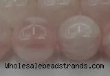 CRQ676 15.5 inches 16mm round rose quartz beads wholesale