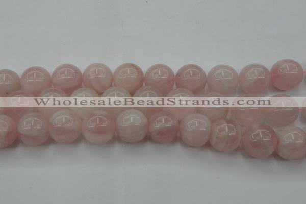 CRQ676 15.5 inches 16mm round rose quartz beads wholesale