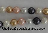 CSB1042 15.5 inches 8mm round mixed color shell pearl beads