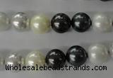 CSB1056 15.5 inches 10mm round mixed color shell pearl beads