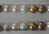 CSB1064 15.5 inches 10mm round mixed color shell pearl beads