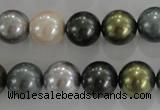 CSB1086 15.5 inches 12mm round mixed color shell pearl beads