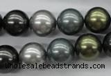 CSB1126 15.5 inches 14mm round mixed color shell pearl beads