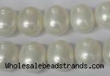 CSB136 15.5 inches 12*15mm – 13*16mm oval shell pearl beads