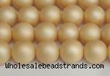 CSB1378 15.5 inches 10mm matte round shell pearl beads wholesale