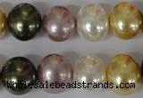 CSB156 15.5 inches 12*15mm – 13*16mm oval mixed color shell pearl beads