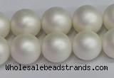 CSB1603 15.5 inches 10mm round matte shell pearl beads wholesale