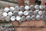 CSB2137 15.5 inches 12mm coin shell pearl beads wholesale