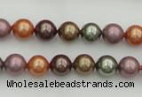 CSB312 15.5 inches 8mm round mixed color shell pearl beads