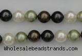 CSB314 15.5 inches 8mm round mixed color shell pearl beads