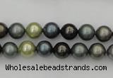 CSB316 15.5 inches 8mm round mixed color shell pearl beads