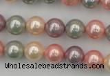 CSB324 15.5 inches 10mm round mixed color shell pearl beads