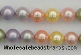 CSB330 15.5 inches 10mm round mixed color shell pearl beads