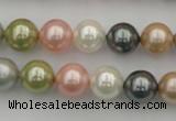 CSB331 15.5 inches 10mm round mixed color shell pearl beads