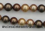 CSB342 15.5 inches 10mm round mixed color shell pearl beads