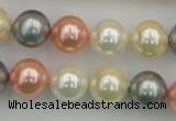 CSB355 15.5 inches 12mm round mixed color shell pearl beads