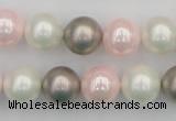 CSB356 15.5 inches 12mm round mixed color shell pearl beads