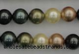 CSB361 15.5 inches 12mm round mixed color shell pearl beads