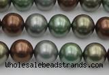 CSB367 15.5 inches 12mm round mixed color shell pearl beads