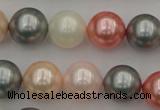 CSB376 15.5 inches 14mm round mixed color shell pearl beads