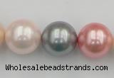 CSB391 15.5 inches 16mm round mixed color shell pearl beads