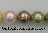 CSB393 15.5 inches 16mm round mixed color shell pearl beads