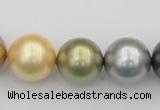 CSB395 15.5 inches 16mm round mixed color shell pearl beads