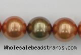 CSB397 15.5 inches 16mm round mixed color shell pearl beads