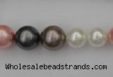 CSB408 15.5 inches 8mm - 16mm round mixed color shell pearl beads