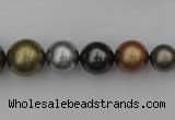 CSB410 15.5 inches 8mm - 16mm round mixed color shell pearl beads