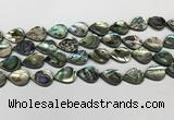 CSB4137 15.5 inches 12*16mm flat teardrop abalone shell beads