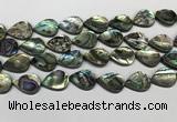 CSB4139 15.5 inches 15*20mm flat teardrop abalone shell beads