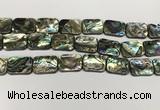 CSB4156 15.5 inches 15*20mm rectangle abalone shell beads wholesale