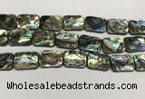 CSB4157 15.5 inches 18*25mm rectangle abalone shell beads wholesale