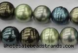 CSB623 15.5 inches 14mm whorl round mixed color shell pearl beads