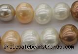 CSB695 15.5 inches 13*15mm oval mixed color shell pearl beads