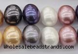 CSB696 15.5 inches 13*15mm oval mixed color shell pearl beads