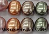 CSB716 15.5 inches 16*19mm oval mixed color shell pearl beads