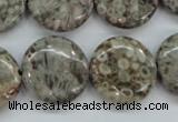 CSF01 15.5 inches 20mm flat round shell fossil jasper beads