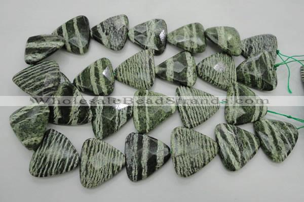 CSJ130 15.5 inches 30*30mm faceted triangle green silver line jasper beads